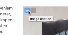 Edit Captions Button in Preview Mode